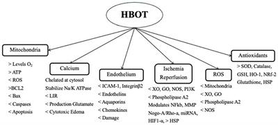 Hypoxic ischemic encephalopathy (HIE)